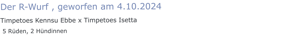 Der R-Wurf , geworfen am 4.10.2024 Timpetoes Kennsu Ebbe x Timpetoes Isetta  5 Rüden, 2 Hündinnen